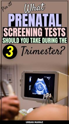 an image of what prenatal screening tests should you take during the trimester?