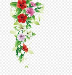 flowers with green leaves and water droplets on the bottom, transparent background png clipart