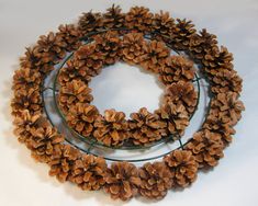 three pine cones are arranged in the shape of a circle on a white surface with wire