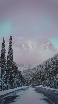 a snowy road with trees and mountains in the background