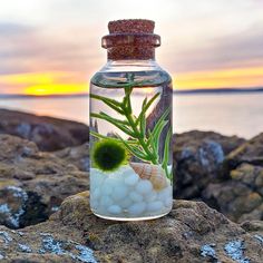 a glass bottle filled with rocks and sea shells sitting on top of a rocky beach