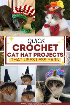 a collage of pictures with cats wearing hats and knitted scarves on their heads