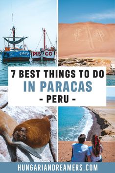 the best things to do in paracas peru