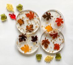 four plates with autumn leaves on them sitting next to gummy bears and candies