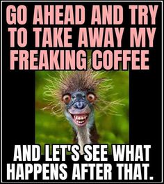 Funny Coffee Humor, Tilapia Recipes Easy, Morning Funnies, Coffee Zone, Craving Coffee, Cup Of Happiness, Coffee Designs, Coffee Meme