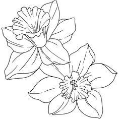 a flower that is black and white with no outline on the bottom, it has two petals