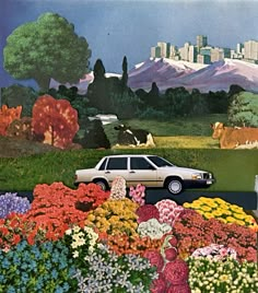 a car parked in the middle of a flower garden with cows and mountains in the background