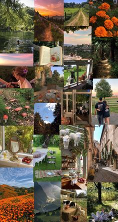 the collage shows many different pictures and people in their home town, including trees, flowers