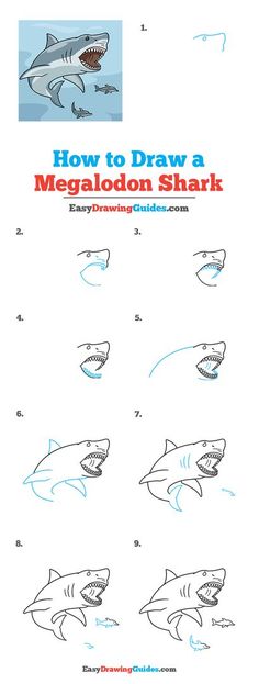 how to draw a megaloon shark step by step instructions for children and adults