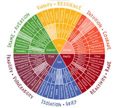 a wheel diagram with words in different colors