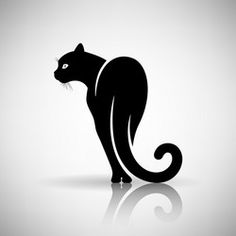 a black cat on a white background