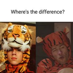 a man wearing a tiger costume next to an image of a boy in a tiger suit