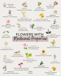 Healing Flowers, Essential Oil Education, Magickal Herbs, How To Calm Nerves, About Science, Natural Healing Remedies, Migraine Relief, Herbal Healing, Healing Heart