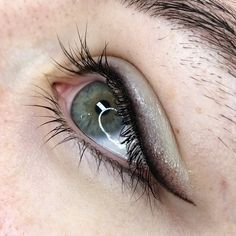 Top Eyeliner Tattoo, Tatooed Eyeliner, Eyeliner Tattoo Ideas, Permanent Eyeliner Styles, Pmu Marketing, Cat Eye Tattoos, Smoky Eyeliner, Top Eyeliner, Tattoo Eyeliner