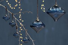 three blue ornaments hanging from a tree branch with lights in the backgroung