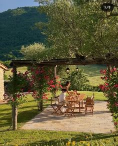 a woman sitting at a table in the middle of a garden