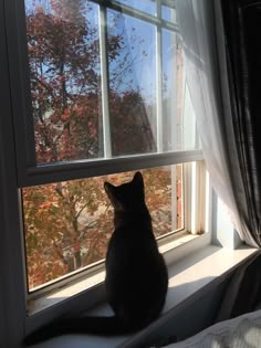 a black cat sitting on top of a window sill looking out at the trees outside