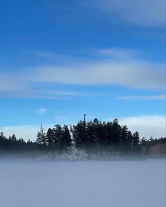 the sky is very blue and there are trees in the distance with snow on it