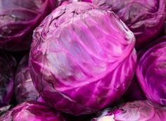 purple cabbage is piled high in the air