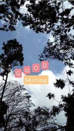 the words good morning are displayed in front of some tree branches and sky with clouds