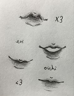 an image of different types of eyes drawn on paper