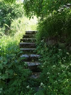 a set of stone steps in the middle of a lush green forest filled with flowers