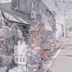 there are many plants on the side of the street in front of this building and two bicycles