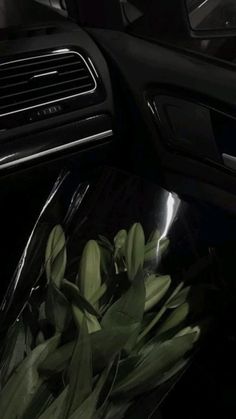 flowers are wrapped in plastic on the inside of a car