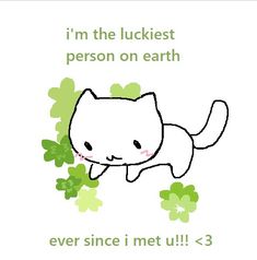 a white cat with green clovers on it's chest and the words, i'm the luckiest person on earth ever since met u