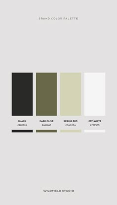 the color scheme for an interior design project, with different shades and colors to choose from