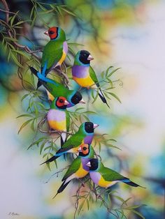 a group of colorful birds sitting on top of a tree