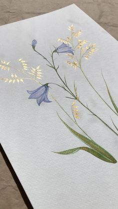 an image of some flowers on a piece of paper