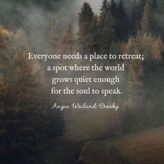 a forest filled with lots of trees next to a quote on the words everyone needs a place to react, a spot where the world grows quiet enough for the soul to speak