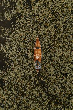 an overhead view of a boat in the water surrounded by green plants and oranges