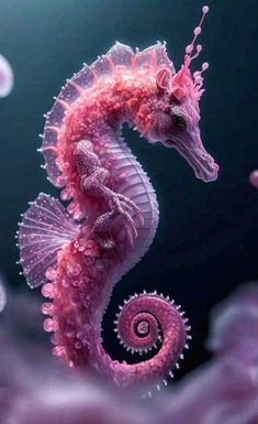 a pink sea horse is in the water