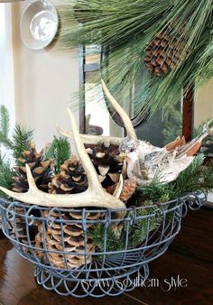 a basket filled with antlers and pine cones