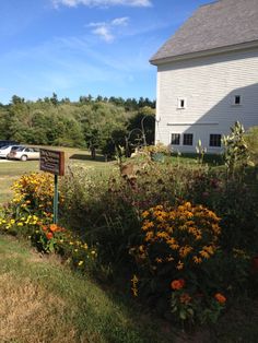 a large white house sitting next to a lush green field filled with lots of flowers