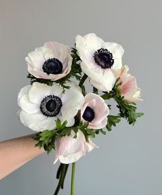 a person holding a bouquet of white and pink flowers in their left hand, on a gray background