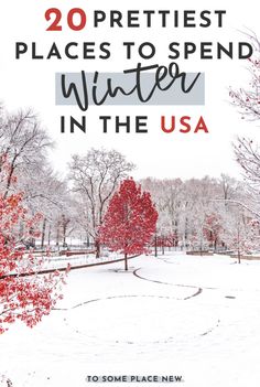 the words 20 prettiest places to spend winter in the usa with red trees