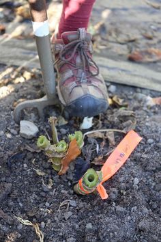 a pair of hiking boots sitting on the ground next to an orange shovel and other items