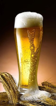 a glass of beer sitting on top of a table next to some ears of wheat