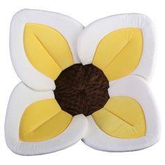 a white and yellow flower with brown centers on it's petals, sitting in front of a white background