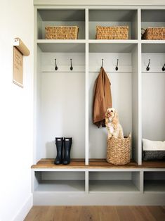 a dog sitting in a basket on top of a wooden bench next to a coat rack