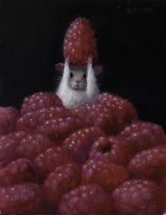 a white mouse sitting on top of a pile of raspberrys in front of a black background