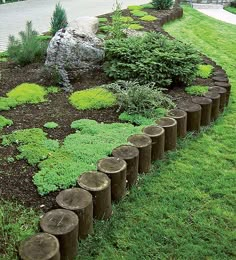 there are many logs in the grass and some plants on the side of the road