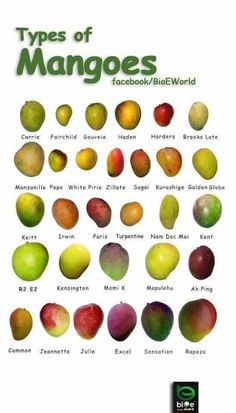 the types of mangoes are shown in this poster