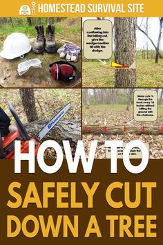 how to safely cut down a tree in the fall or winter with this simple guide