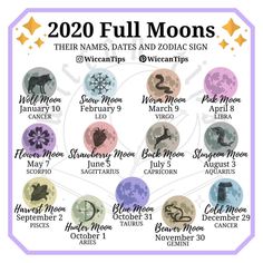 Libra Flower, New Moon Rituals, Full Moon Ritual, Moon Calendar, Wiccan Witch, Magick Spells, Witchcraft For Beginners, Wicca Witchcraft, Baby Witch