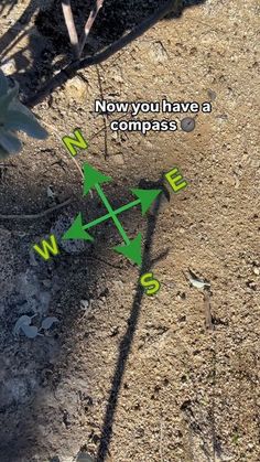 two arrows pointing in opposite directions on the ground