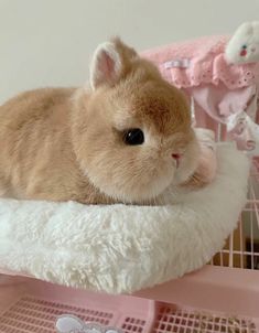 a small brown rabbit laying on top of a white pillow in a cage next to a stuffed animal